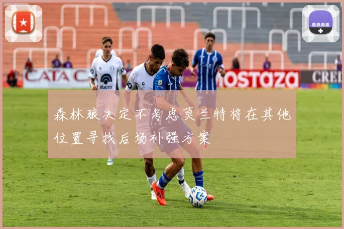 森林狼决定不考虑莫兰特将在其他位置寻找后场补强方案